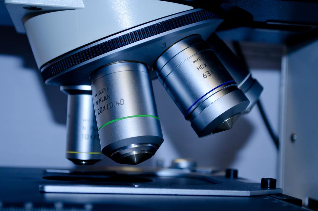Long-COVID and gut health