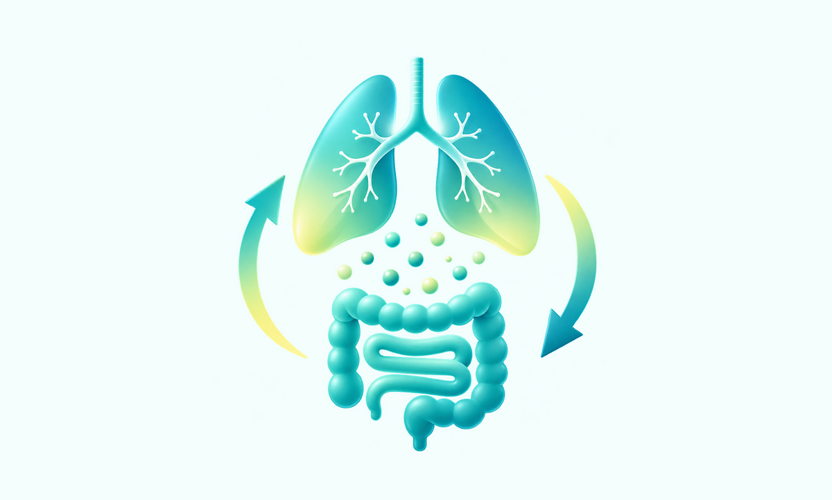 A stylized medical illustration showing the lungs above the intestines with arrows circling around them, rendered in teal, blue, and yellow on a very light gray background.